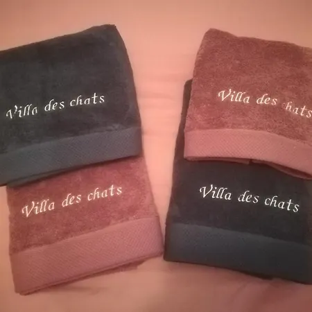 La Villa Des Chats Andresy Exterior photo