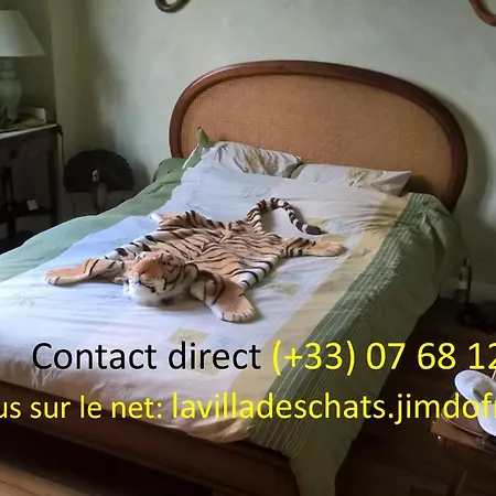 La Villa Des Chats Andresy Exterior photo