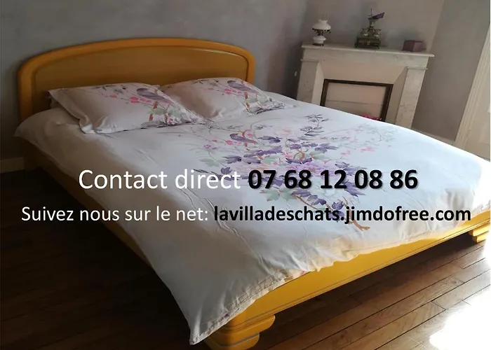 La Villa Des Chats