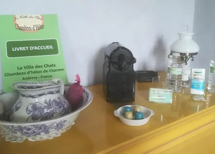 La Villa Des Chats