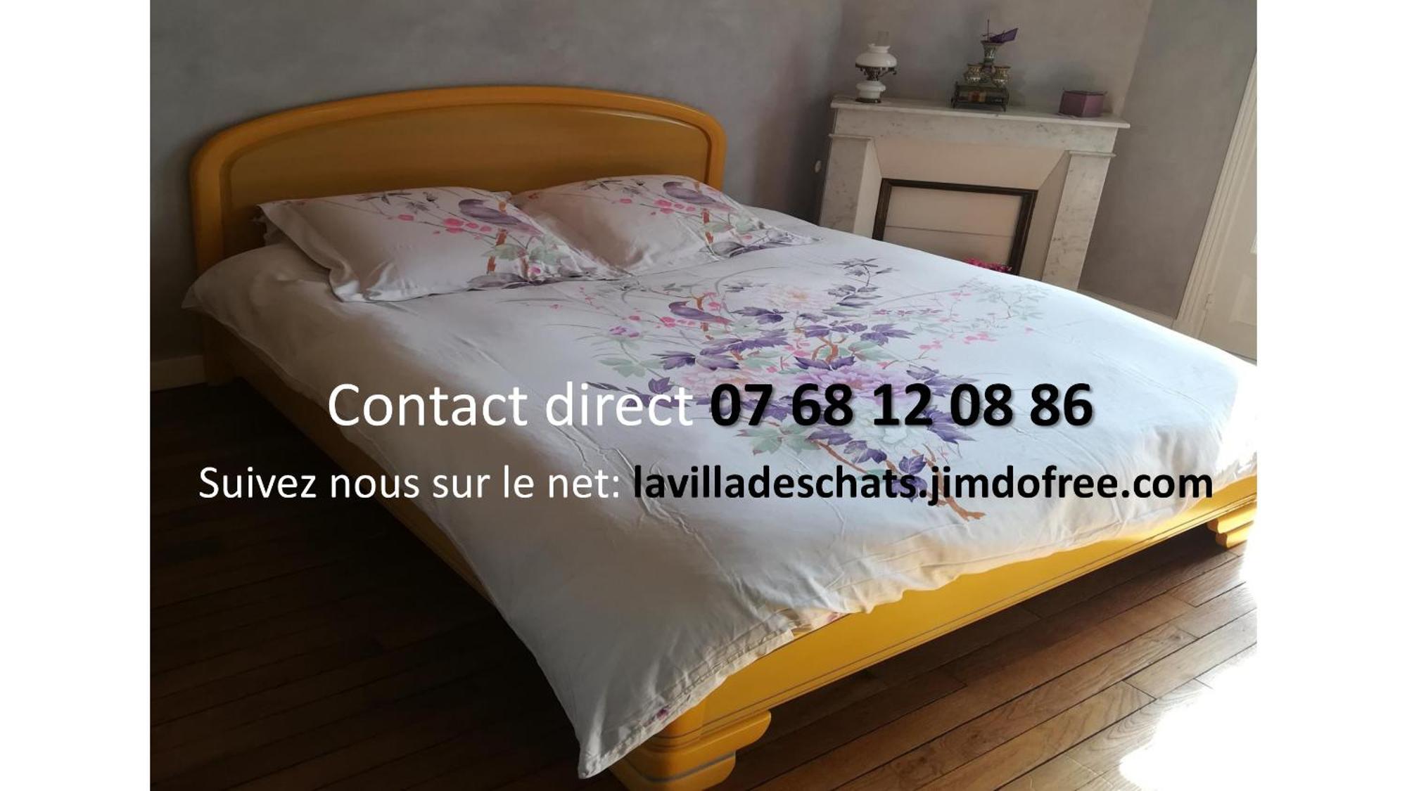 La Des Chats * Andresy