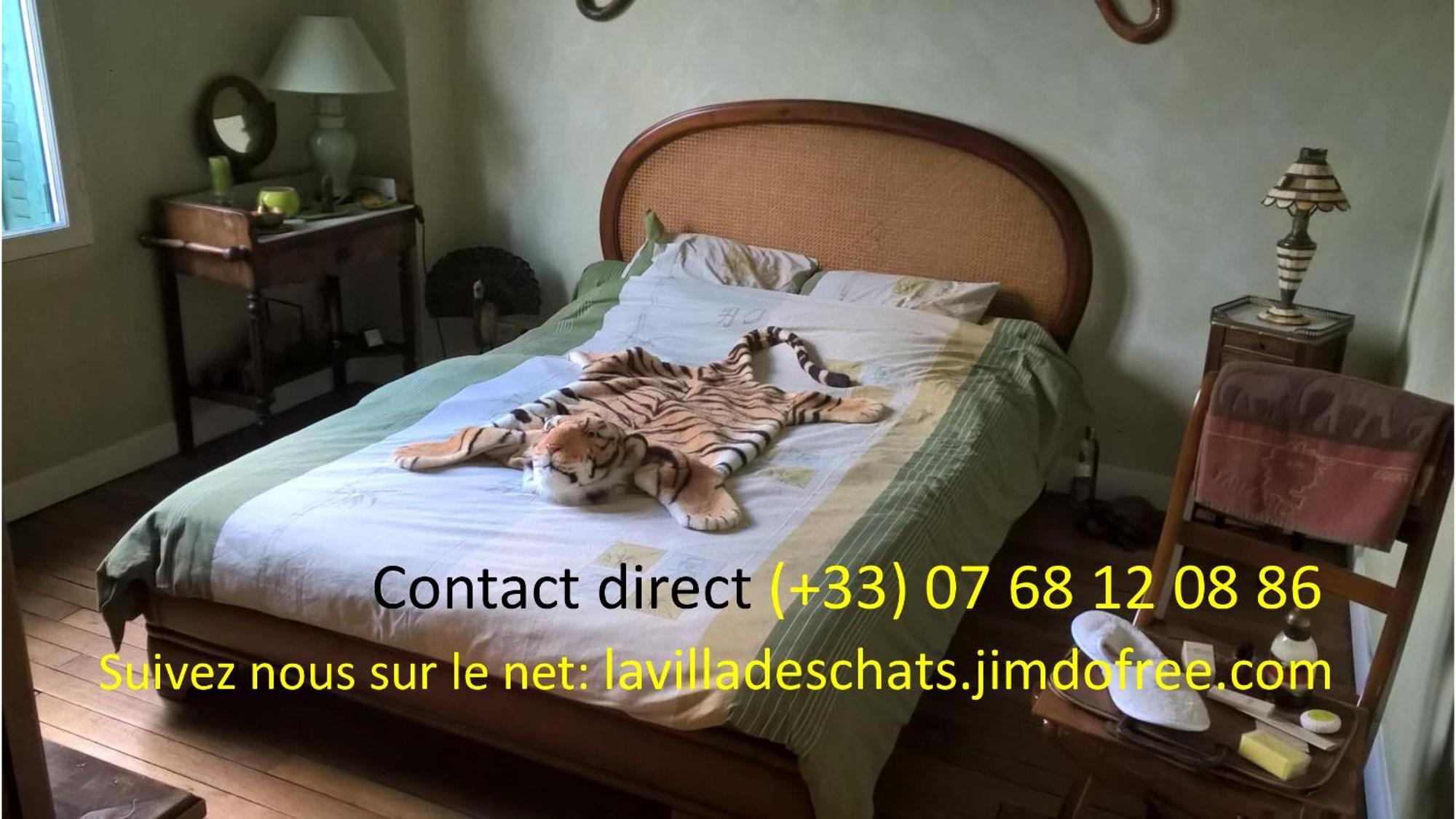 La Des Chats